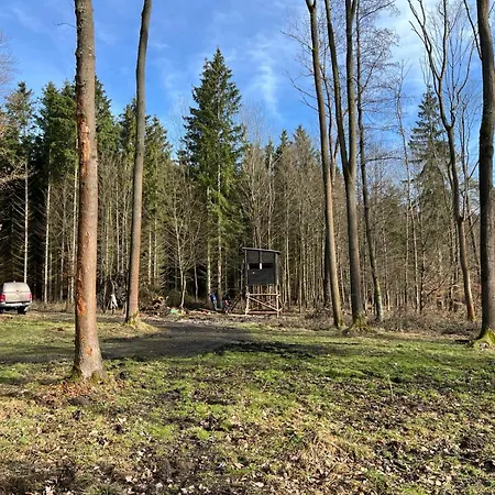 Glamping S Termovizi V Srdci Krivoklatskych Lesu Glamping Svatá